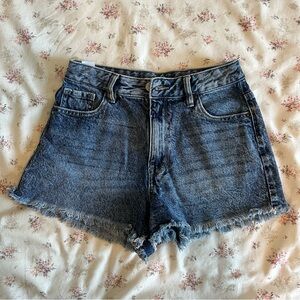 PacSun High Rise Festival Shorts